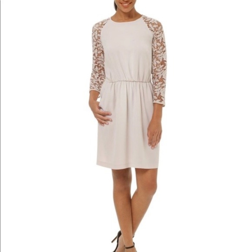 Wilfred Libretto Dress Women 0 Silver Skin Lace Sleeve Mini Party Coquette